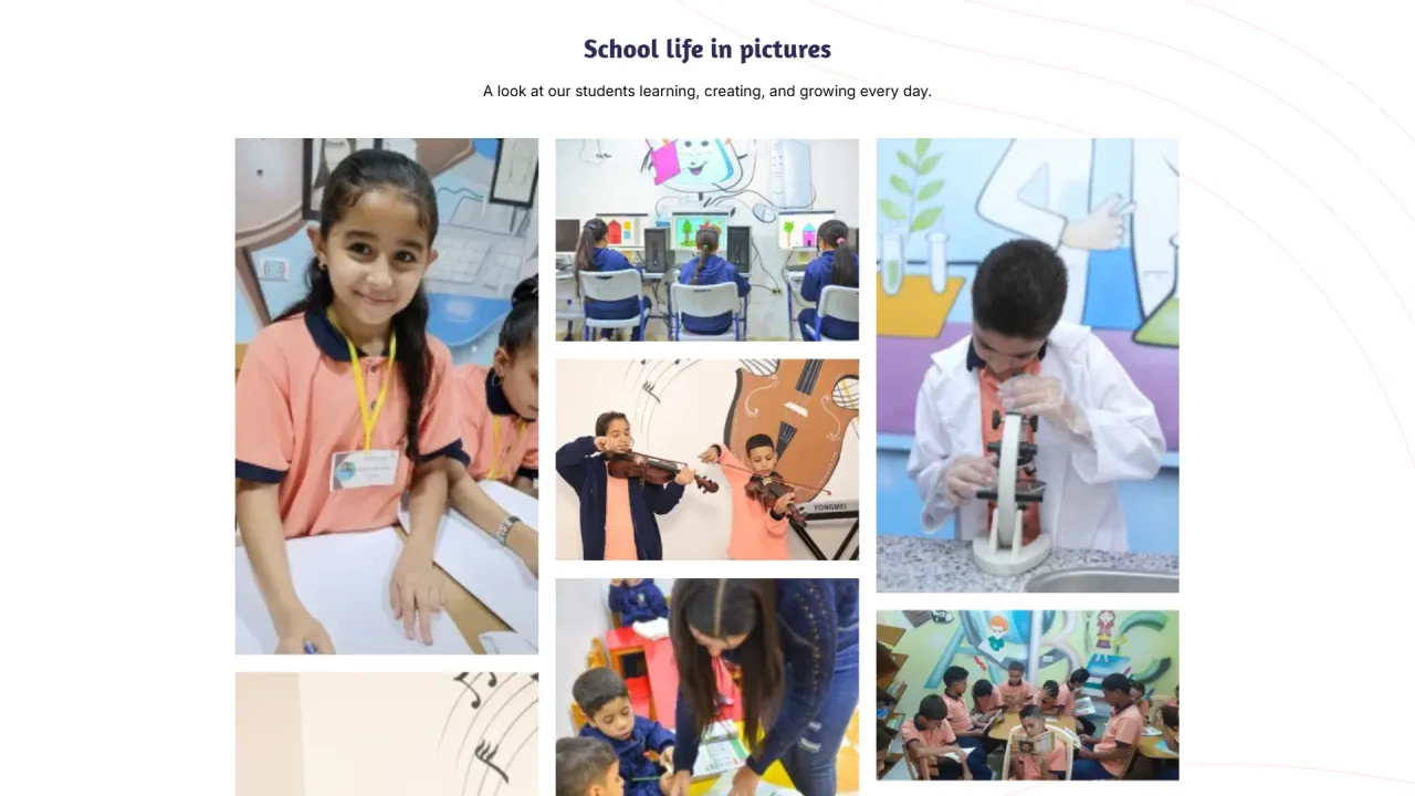 Mustard Seed Project – Egyptian NGO Website screenshot